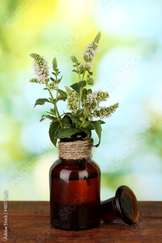Photo: Essential oil and mint on green background close-up Essential oil and mint on green background close-up