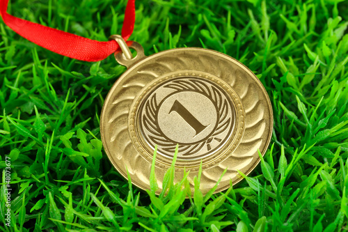 Photo: Gold medal on grass background Gold medal on grass background