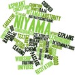 Word cloud for Niyama