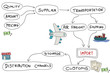 Product import - mind map vector illustration