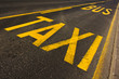 Photo: Taxi and bus line Taxi and bus line