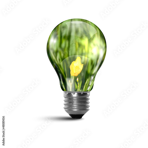 Photo: Ecology bulb light Ecology bulb light