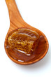 honeycomb in a wooden spoon