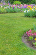 Landscaped garden scene with blooming irises