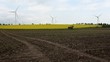 Windpark im Rapsfeld