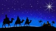 Magi