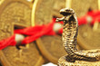 Fengshui Jahr der Schlange 2013