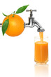 Obst 628