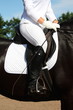 Dressage rider close up
