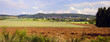 Agriculture landscape