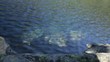 Crystal Clear Mountain Lake