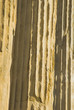 pims_20080609_ml0139
