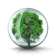 Baum in Glassphäre