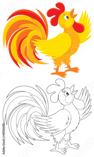 Illustration: Rooster Rooster