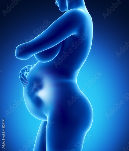 Illustration: Pregnan woman with fetus lateral view Pregnan woman with fetus lateral view