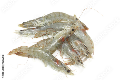 Photo: crevettes crues crevettes crues