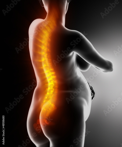 Illustration: Pregnant woman with visible backbone concept Pregnant woman with visible backbone concept