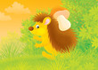 spiny hedgehog carrying a mushroom in a forest