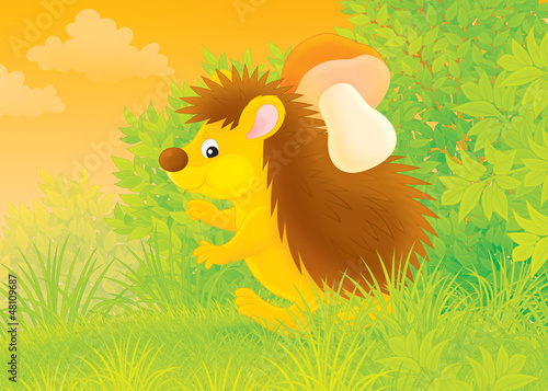 Illustration: spiny hedgehog carrying a mushroom in a forest spiny hedgehog carrying a mushroom in a forest