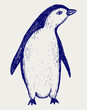 Penguin sketch