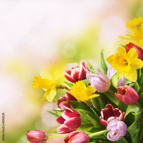 Photo: Spring Bouquet Spring Bouquet