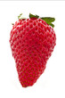 Strawberry isolated in white background