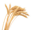 Photo: Isolated bunch of wheat Isolated bunch of wheat