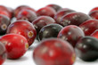 Cranberries
