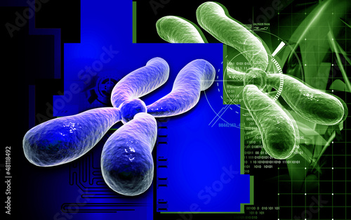 Illustration: Chromosome Chromosome