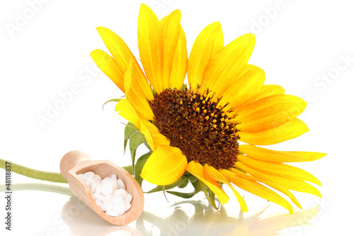 Photo: homeopathic tablets and flower isolated on white homeopathic tablets and flower isolated on white