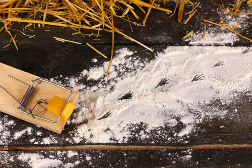 Photo: Mousetrap with a piece of cheese in barn on wooden background Mousetrap with a piece of cheese in barn on wooden background