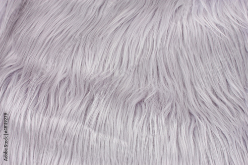 Photo: Gray fur texture, close-up.Useful as background Gray fur texture, close-up.Useful as background