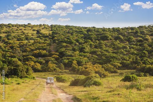 Photo: Safari Landscape Safari Landscape
