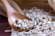 White beans - Cannellini (legumes) in a wooden spoon and bag