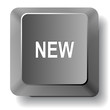 New. Vector computer key.