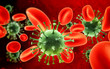 bacteria infection