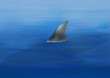Aileron de requin