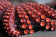 Pulpo cocido para preparación estilo "feira" en Galicia