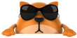 Fun cat