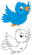blue bird flying