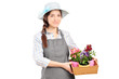 Foto: A female gardener holding flower plants A female gardener holding flower plants