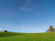 Photo: green field green field