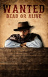 Western