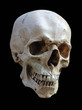 Totenkopf