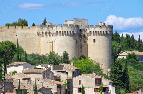 Photo: Fort St Andre 05 Fort St Andre 05