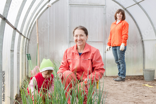Photo: family works in greenhouse family works in greenhouse