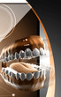 Teeth