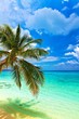 Tropical beach