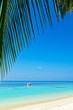 Tropical beach