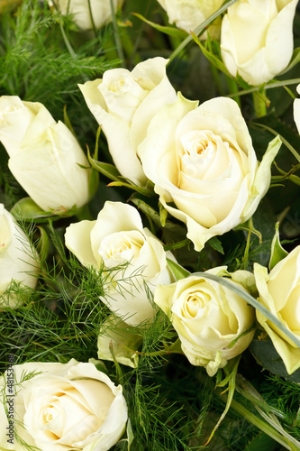 Photo: white roses white roses